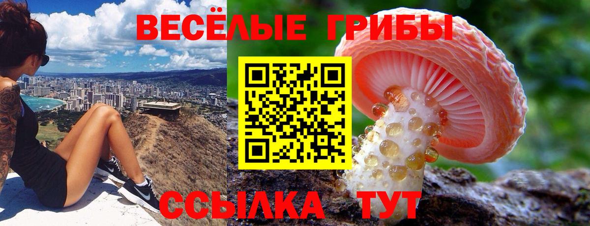 Псилоцибиновые грибы Psilocybine cubensis  где найти   Чехов  Вход с VPN  Псилоцибиновые грибы ЛСД 